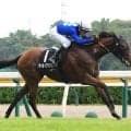 【１８日の注目・東京１２Ｒ】重賞戦線をにぎわせた馬が大量出走…最終レースを勝って終わるのはどの馬？