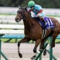 秋華賞はノーザンファームが好相性