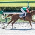 【東京4R新馬戦結果】パイロ産駒の2番人気ファクスカエリが快勝