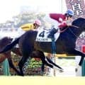 【東京５Ｒ・２歳新馬】津村明秀騎手が「エンジンがかかってから…」とうなる　ユメノカケラが断然人気に応える