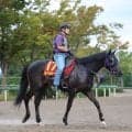【秋華賞】馬トク外厩情報…ローズステークス勝ち馬に不安材料？　５年連続Ｖの好走パターンに注目