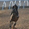 日曜京都競馬場の注目激走馬…京都１１Ｒ秋華賞・Ｇ１