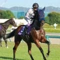 【秋華賞】武豊騎手＆蛯名正調教師の同期タッグでの戴冠ならず…マスターソアラは８着　Ｇ１の壁に泣く