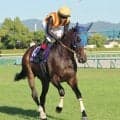 【秋華賞】ルメール騎手３連覇ならず…オークス２着馬ドリームコアは３着　やはり右回りの壁！？