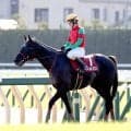 【東京ハイジャンプ】２３年最優秀障害馬のマイネルグロンが意地の２着　五十嵐騎手「１００点満点のレースでした」