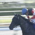 【秋華賞】モンローウォークが圧倒的人気に応えG1初勝利！ ギャラボーグとの追い比べ制す…無敗の上がり馬が3歳女王“最後の一冠”を獲得
