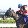 【秋華賞】ノーザンファームが６年連続で制覇　中島文彦ＧＭ「着差以上に強い内容だったと思います」