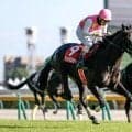 【東京ハイJ結果】ジューンベロシティが3連覇達成！ マイネルグロン復活の2着、王者エコロデュエル3着