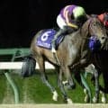 【ネクストスター盛岡結果】クリムゾンダリアが接戦を制し重賞初V