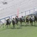 「大外からぶった切り」2歳牝馬が直線“10頭ごぼう抜き”の豪快勝利…強烈末脚が話題に「飛んできた」