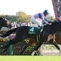 サウジアラビアＲＣ勝ちアゴルディーノなど３３頭が中舘英二厩舎から転厩
