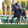 【菊花賞展望】前走圧勝の大器ダノンヒストリーに注目