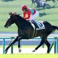 【注目馬動向】武豊騎手でレコード勝ちのオンユアマークスは東京スポーツ杯２歳Ｓで重賞初挑戦