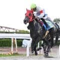 【ＹＪＳトライアルラウンド笠松】大久保友雅騎手が単勝６８．２倍のウインブライト産駒で大波乱Ｖ　３連単は３１万円超