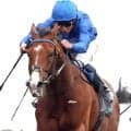 ＢＣターフ回避→ジャパンＣ参戦の可能性が出てきた欧州最強馬オンブズマン　陣営「検討の選択肢に入っている」