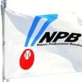 球界にもPHP問題　12球団HPが続々メンテナンス　パ６球団は一時すべてが見られぬ状態に