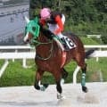 【阪神アーバン競馬】ジュウリョクピエロの新馬戦２着馬が園田７Ｒで大楽勝　兵庫に移籍初戦のロードステラート