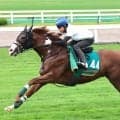 【注目馬動向】ノヴァヴェローチェは京都２歳Ｓへ向かう　新馬戦圧勝のエフフォーリア産駒