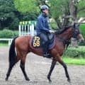 【ＰＯＧ】フェニックスロールがルメール騎手を背に２４日の東京・芝１６００メートルでデビュー　陣営「チャンスがあります」