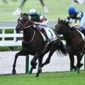 【アルテミスS枠順確定】リスグロワールは5枠6番、プルヴィナルは6枠9番