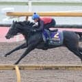 【菊花賞・金曜気配】アスクエジンバラはレース２日前も岩田康誠騎手が騎乗　福永調教師「いい状態で使えるのが何より」