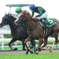 【ファンタジーS想定馬・騎手】フェリチタ、イモージェンなど13頭