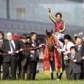 2012年日本ダービー馬ディープブリランテ死す パカパカファームが明らかに