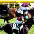 ２０１２年の日本ダービー馬ディープブリランテが天国へ旅立つ　矢作調教師「俺を男にしてくれた。感謝しかありません」