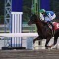 【ネクストスター高知】準重賞を連勝中のリケアボレロに大恵陽子が注目　渡辺竜也騎手「まだ奥がありそうな背中です」