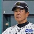 阪神・平田２軍監督一問一答　前日ドラフト会議で若虎にも刺激「内野手とったとか、わいわい言ってたよ」