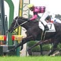 【京都５Ｒ・２歳新馬】「ちょっと楽しみですよ、この馬は」武豊騎手も興奮のスマートピナクルが完勝！石橋厩舎とのタバルコンビ