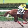【東京４Ｒ・２歳新馬】 ナダル産駒のヘイヴァイタヒチがデビュー勝ち　加藤征弘調教師「内容はすごく良かったです」