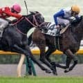 【東京5R新馬戦結果】ダノンスマッシュ産駒リラノヴァが接戦を制してV