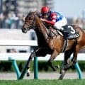 【門別・エーデルワイス賞枠順確定】ワールドエンジェルは3枠3番、カズドリームは6枠10番