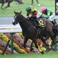 【カシオペアS結果】3歳馬ディールメーカーが抜け出しオープン初勝利