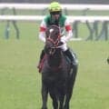 【アルテミスＳ】直線失速に坂井瑠星騎手は「反応が無かった」リスグロワールは８着　名牝リスグラシューとの母子制覇ならず　