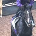 【菊花賞・土曜気配】５・９億円馬エムズビギンが最高価格勝利記録更新へ　陣営「自分のリズムで行けるかどうか」