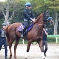 【菊花賞・土曜気配】セントライト記念覇者ジャスティンシカゴの陣営は雨を歓迎「この馬にとってはいい」