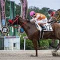 【もみじ賞・佐賀】１番人気のダバイシュクレが接戦を制して２連勝　２番手から押し切って勝負強さを発揮