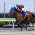 【盛岡・絆カップ】重賞4連勝のルコルセールが復帰戦…クラスターカップ5着から地元重賞5勝目へ