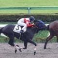 【新馬戦】アメリカンフレンズ　馬体重は５５６キロ！好発逃げ切りデビュー　津村が高評価「持久力を発揮してくれた」