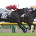【新馬戦】リラノヴァ　鼻差制したデビュー星　横山和は課題指摘「気性的に成長すれば。雨はプラスになった」