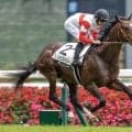 【菊花賞予想】パターン見極めれば候補馬浮上する？ 過去データから探るGI菊花賞