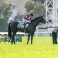 【今日の注目ポイント】ロブチェンが史上9頭目の三冠制覇に挑む