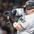 阪神　佐藤輝明のポスティングで「少し心配」侍Ｊの井口監督が指摘したポイント「大型契約になるので」日本人野手の活躍＆ＦＡ市史上の手薄感、ロックアウト重なる中で