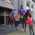 フォーエバーヤングやディープモンスターなど ブリーダーズC出走の日本馬が馬場入り