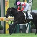 【京都5R新馬戦結果】コントレイル産駒の3億円ホース、ダノンカンタービレがデビュー勝ち