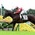 【京都５Ｒ・２歳新馬】早くも“伝説の新馬戦”？ダノンカンタービレが快勝　岩田望来騎手「最後も余力がありました」