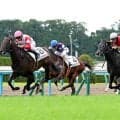 【京都５Ｒ・２歳新馬】クロノジェネシスの２番子ノイエルングは２着　ルメール騎手「距離を延ばしたらいいと思う」