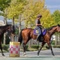 【菊花賞】馬トク外厩情報…神戸新聞杯組より１週長く休養　山元トレセン帰りの馬に注目
